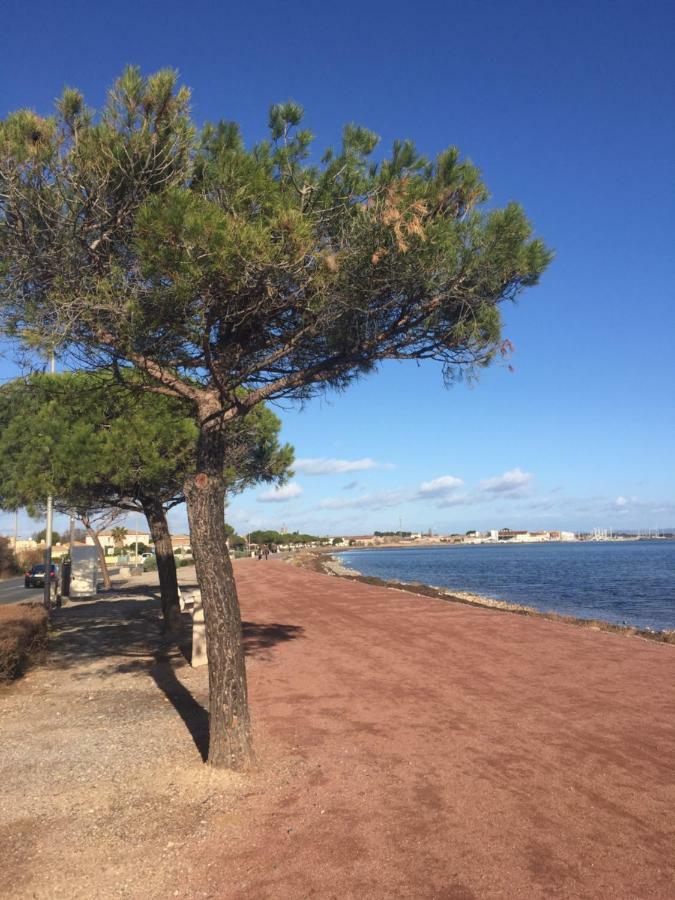 La Scribote Apartamento Marseillan  Exterior foto
